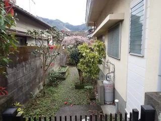 View 7