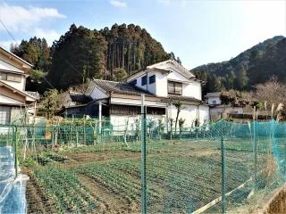 View 3