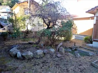 View 12