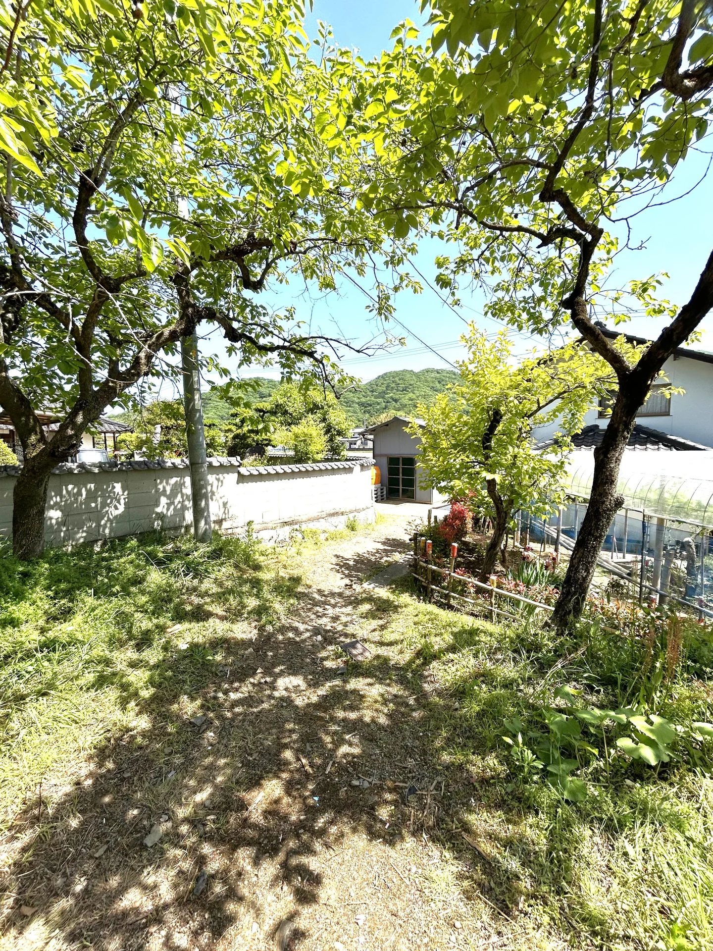 View 15