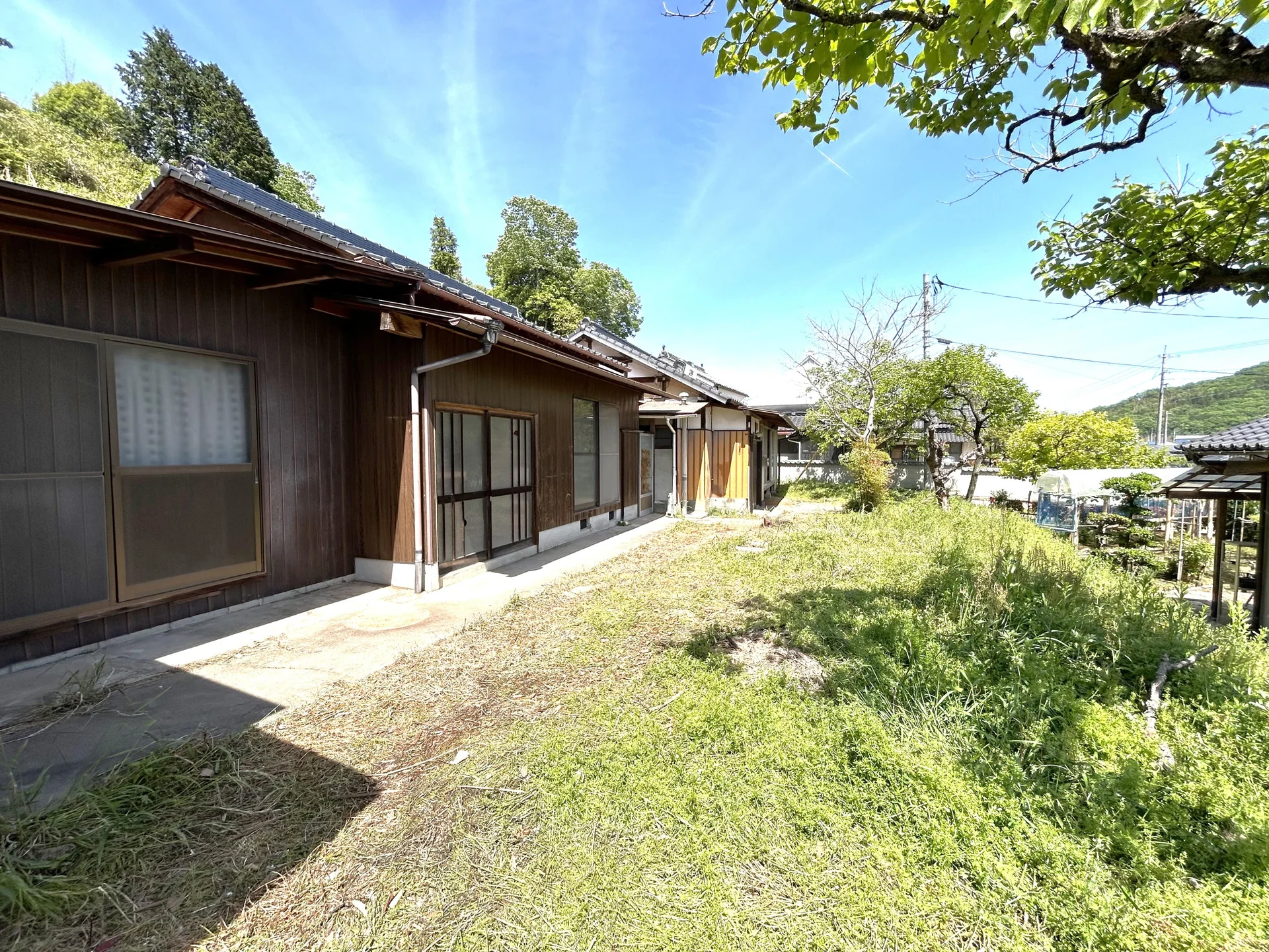 View 16