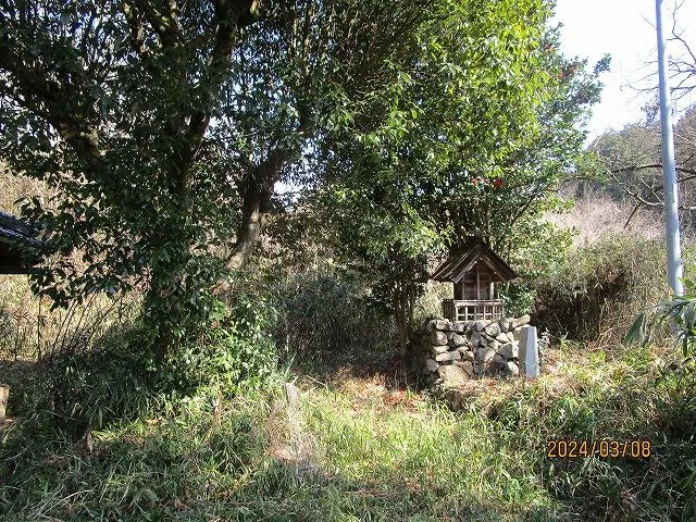 View 14