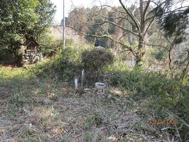 View 15