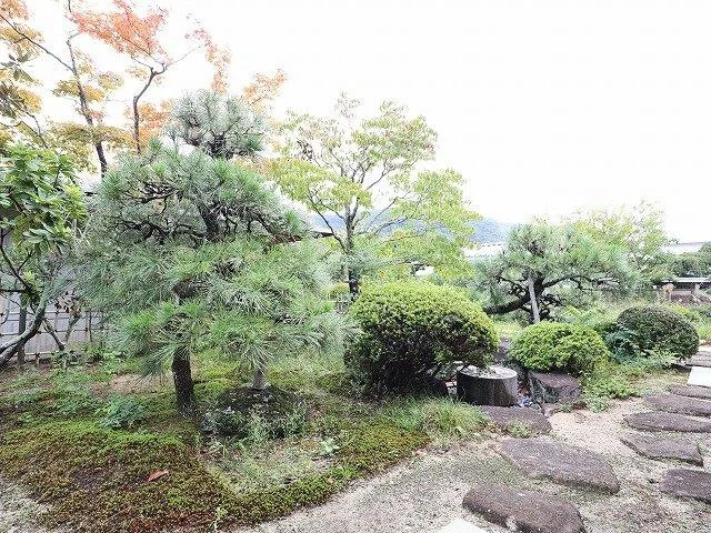 View 16