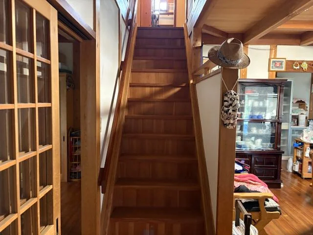 View 14