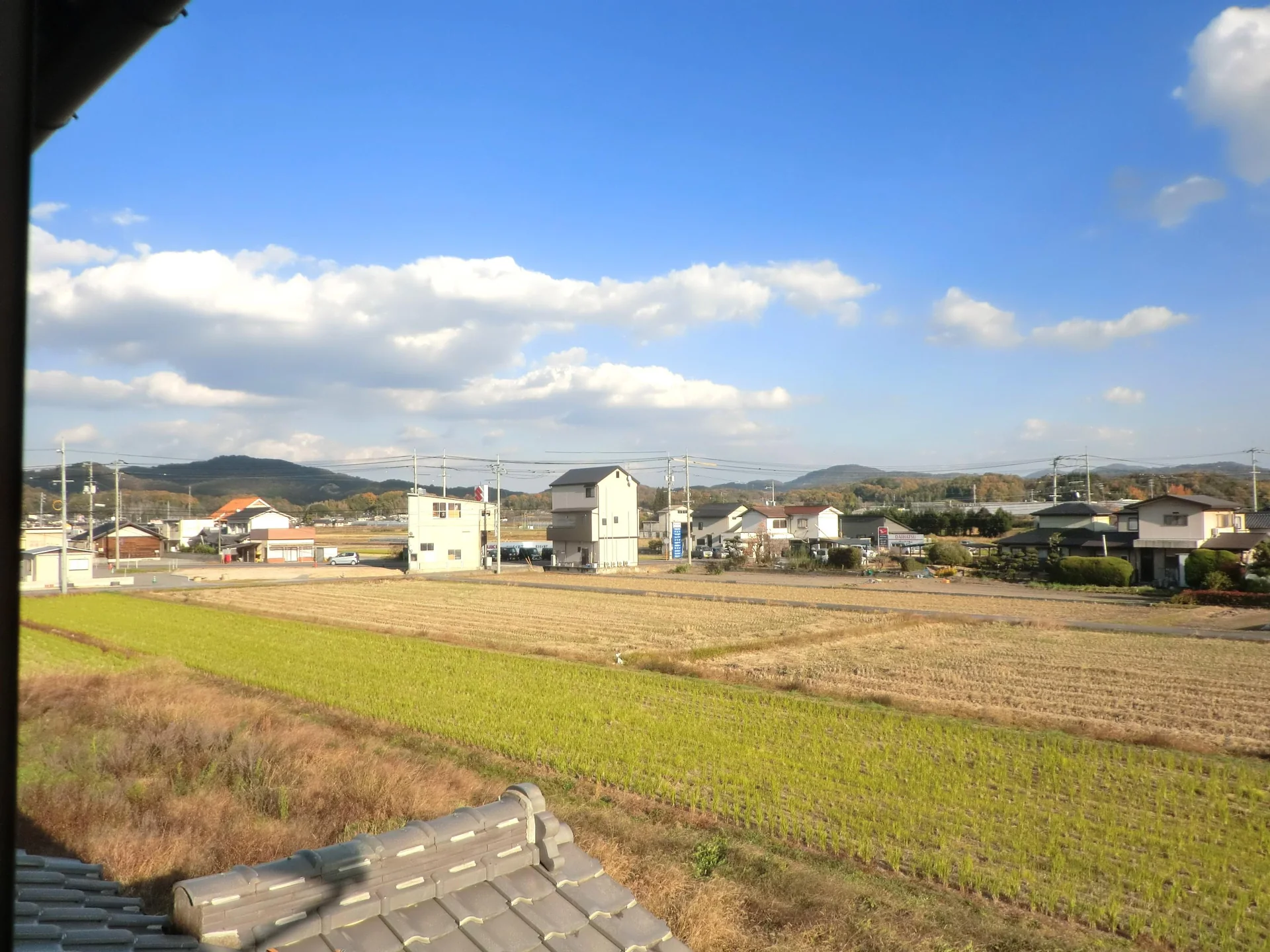 View 14