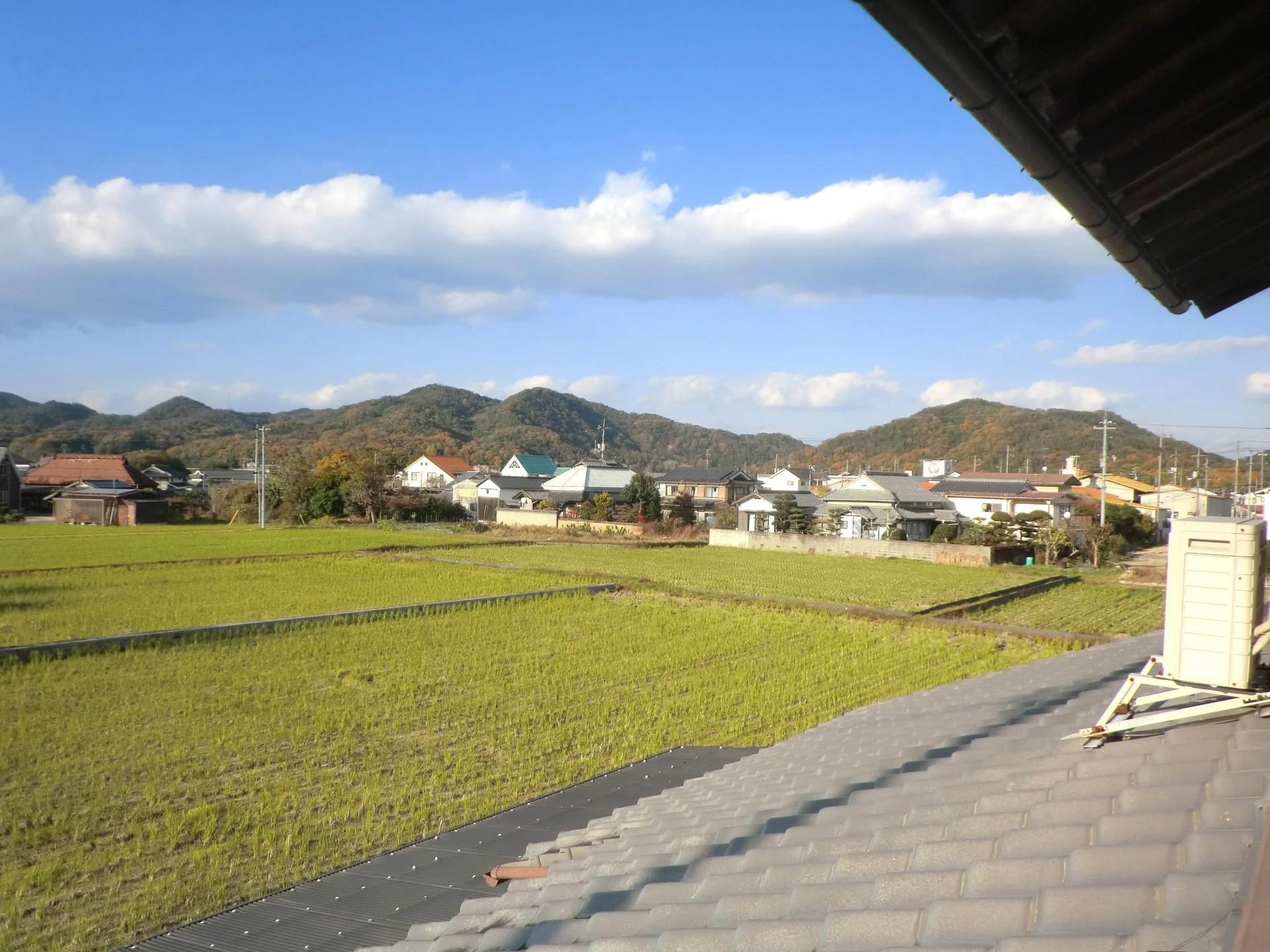 View 15