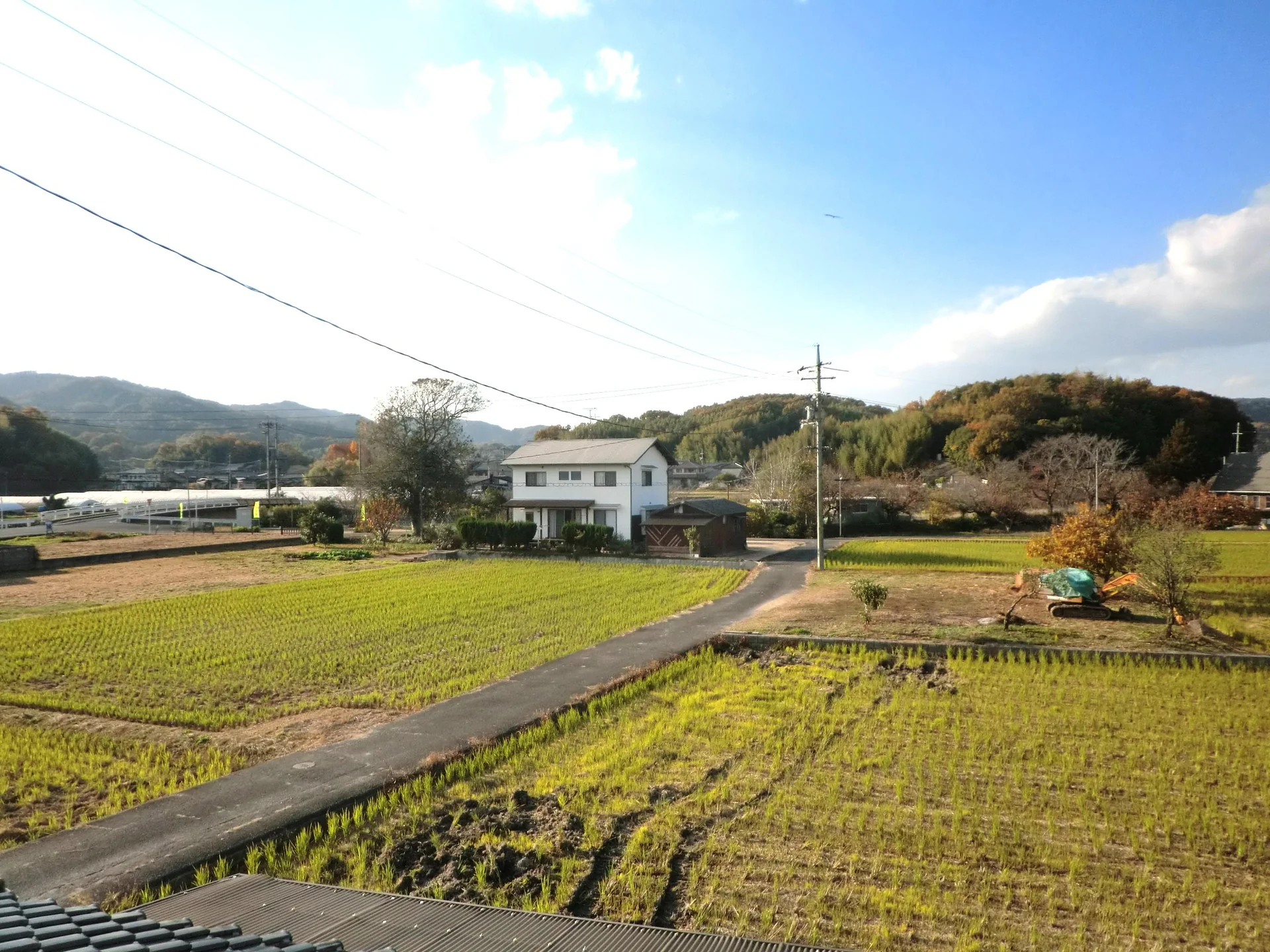 View 16