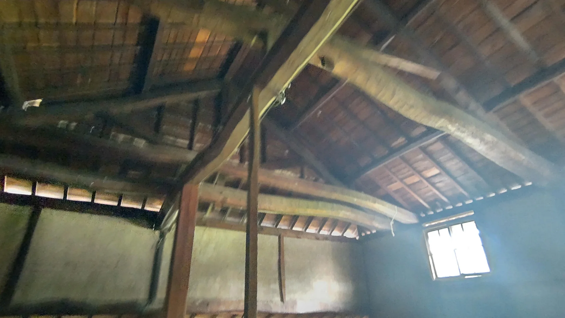 View 12