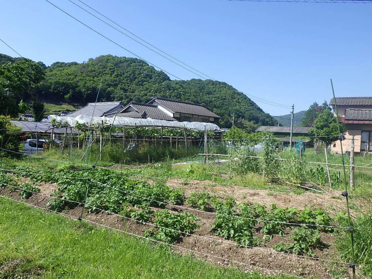 View 12