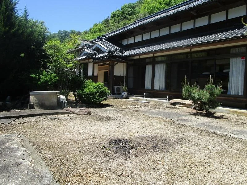 View 5