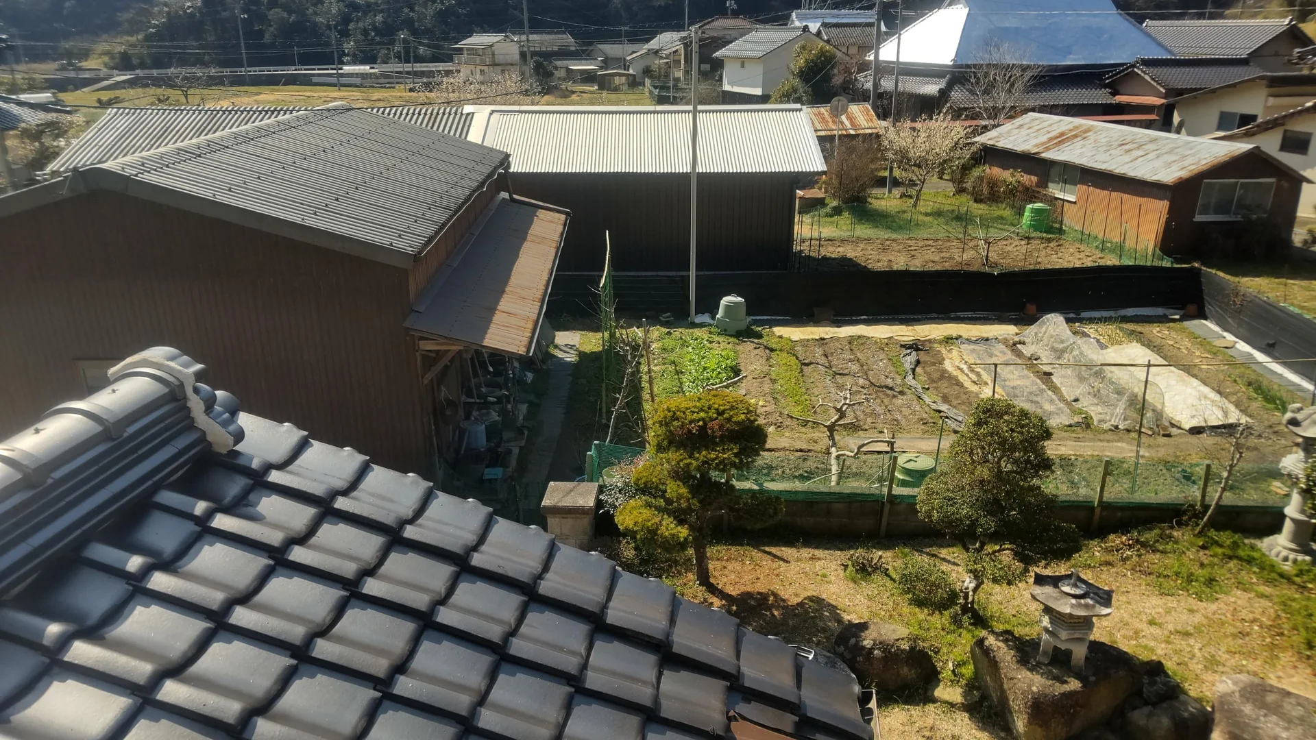 View 19