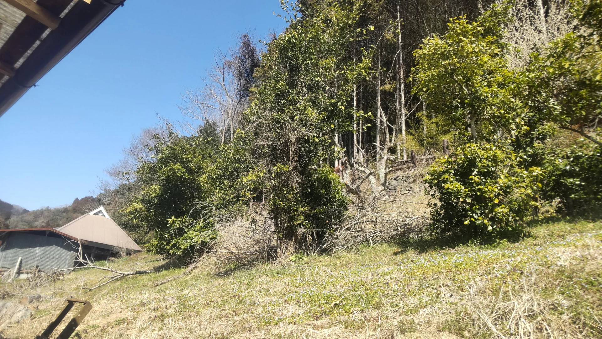 View 30