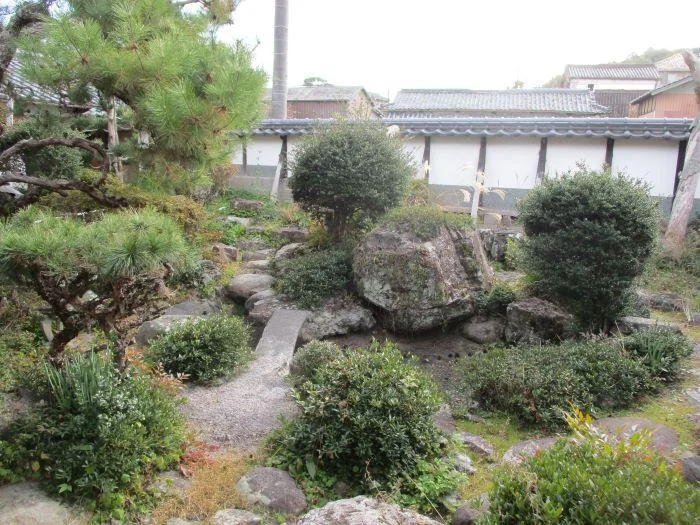 View 6