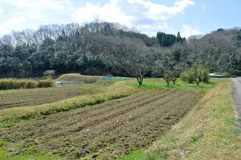View 16
