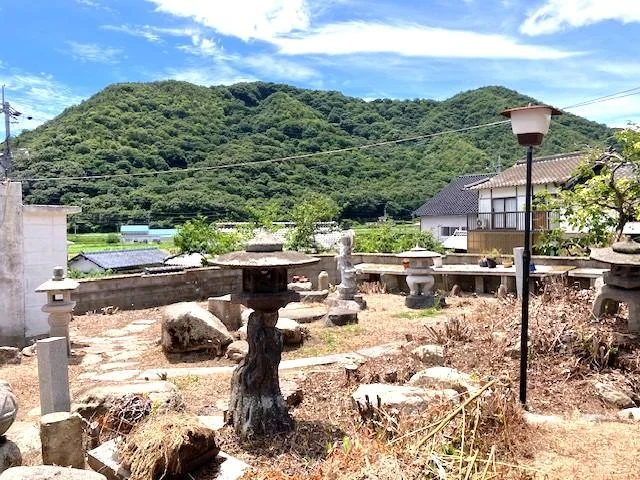 View 8