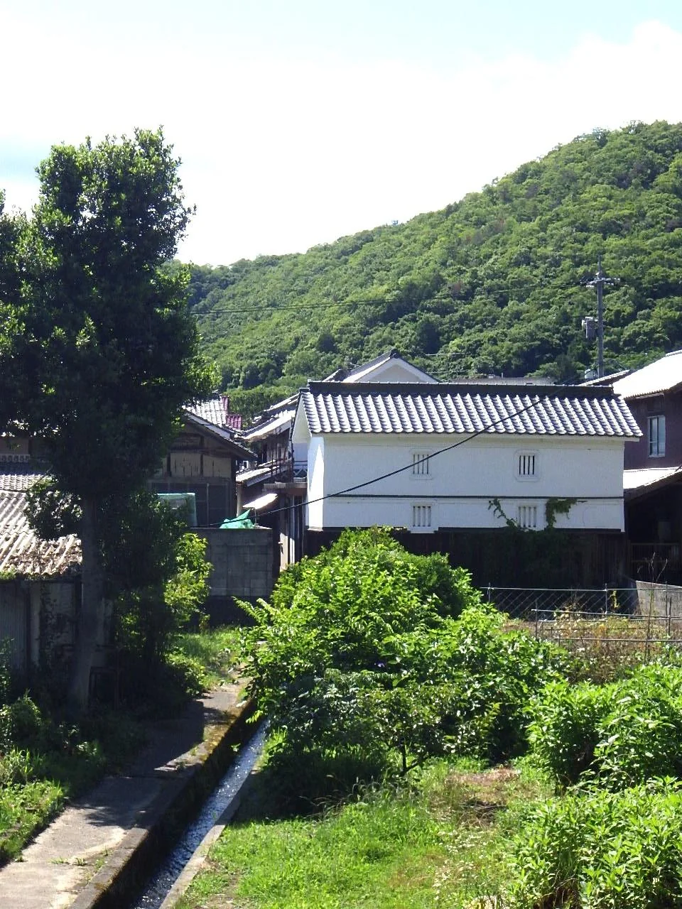 View 10