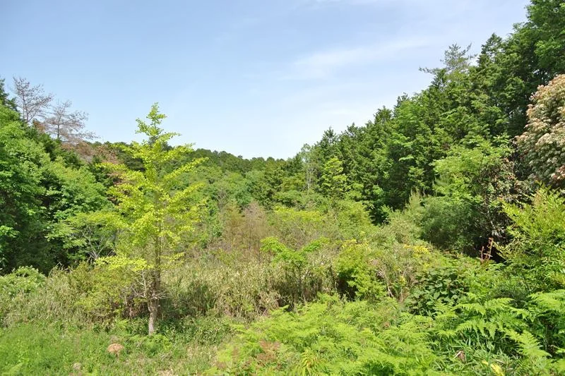 View 13