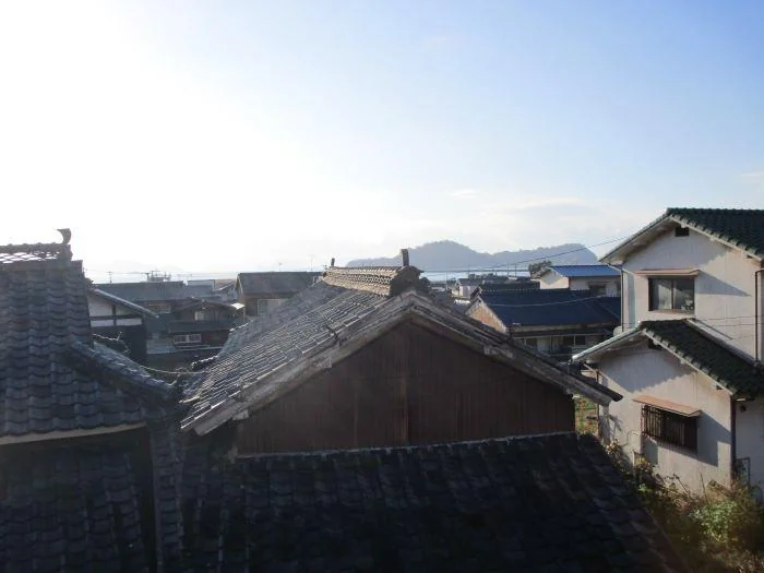 View 3