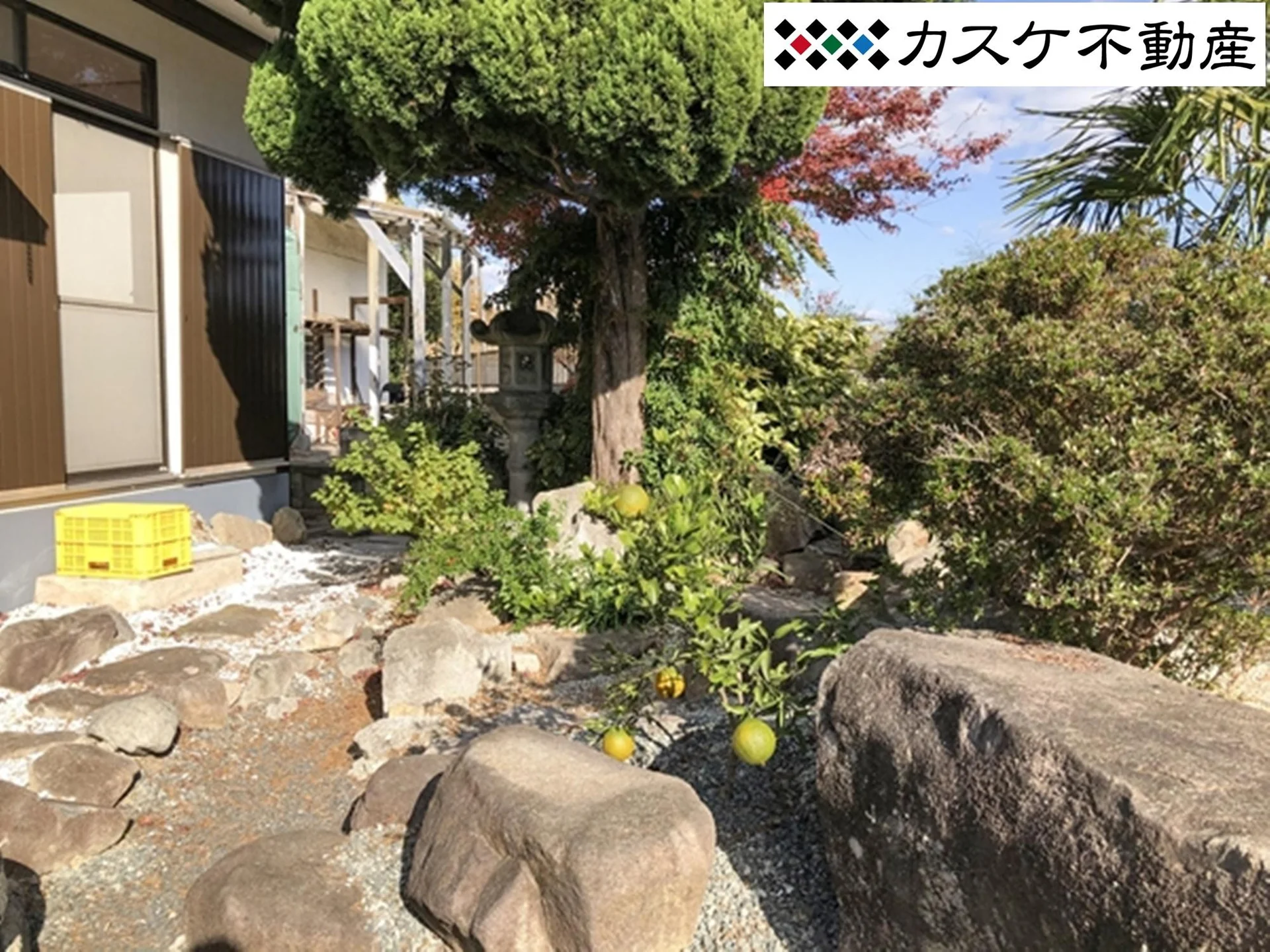 View 20