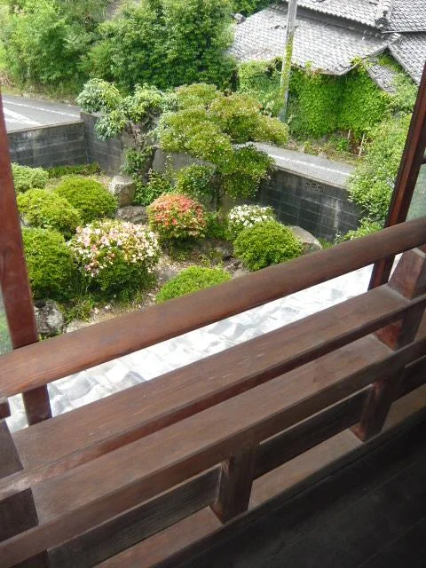 View 24