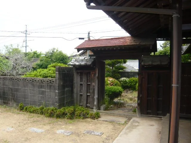 View 25