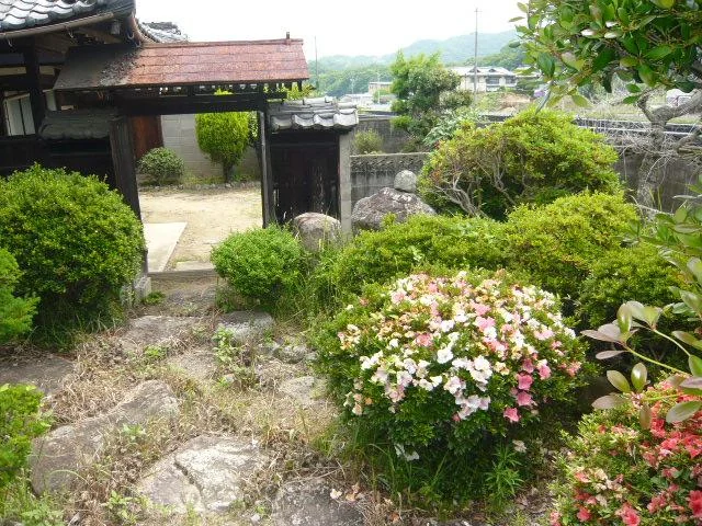 View 27