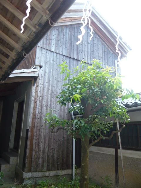 View 28