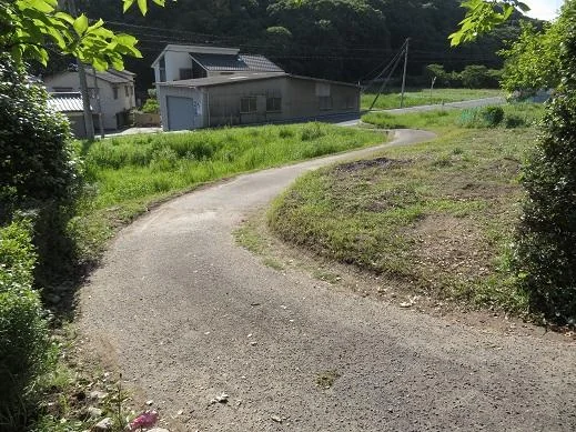 View 8