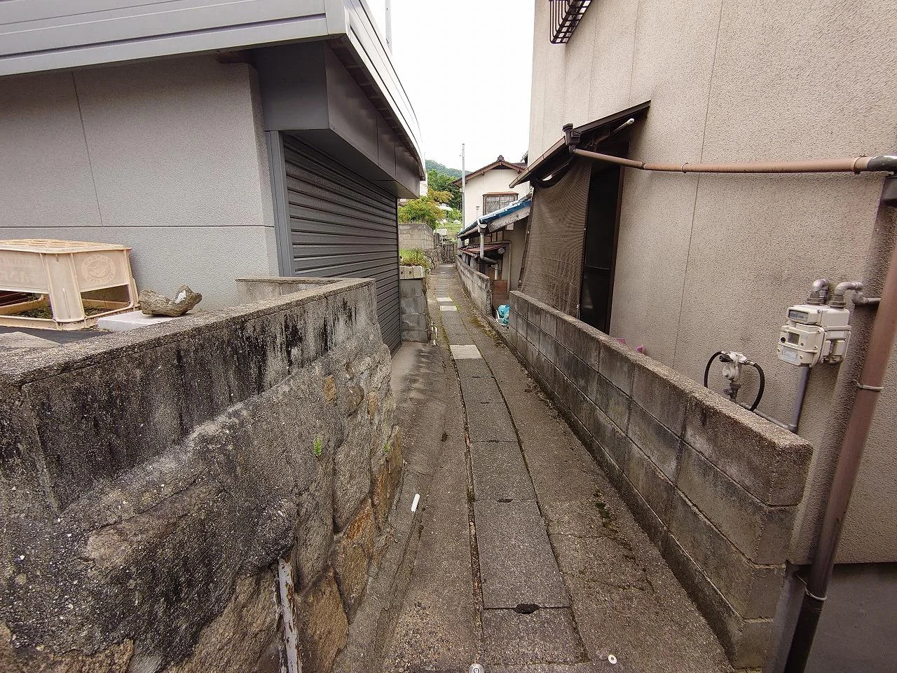 View 25