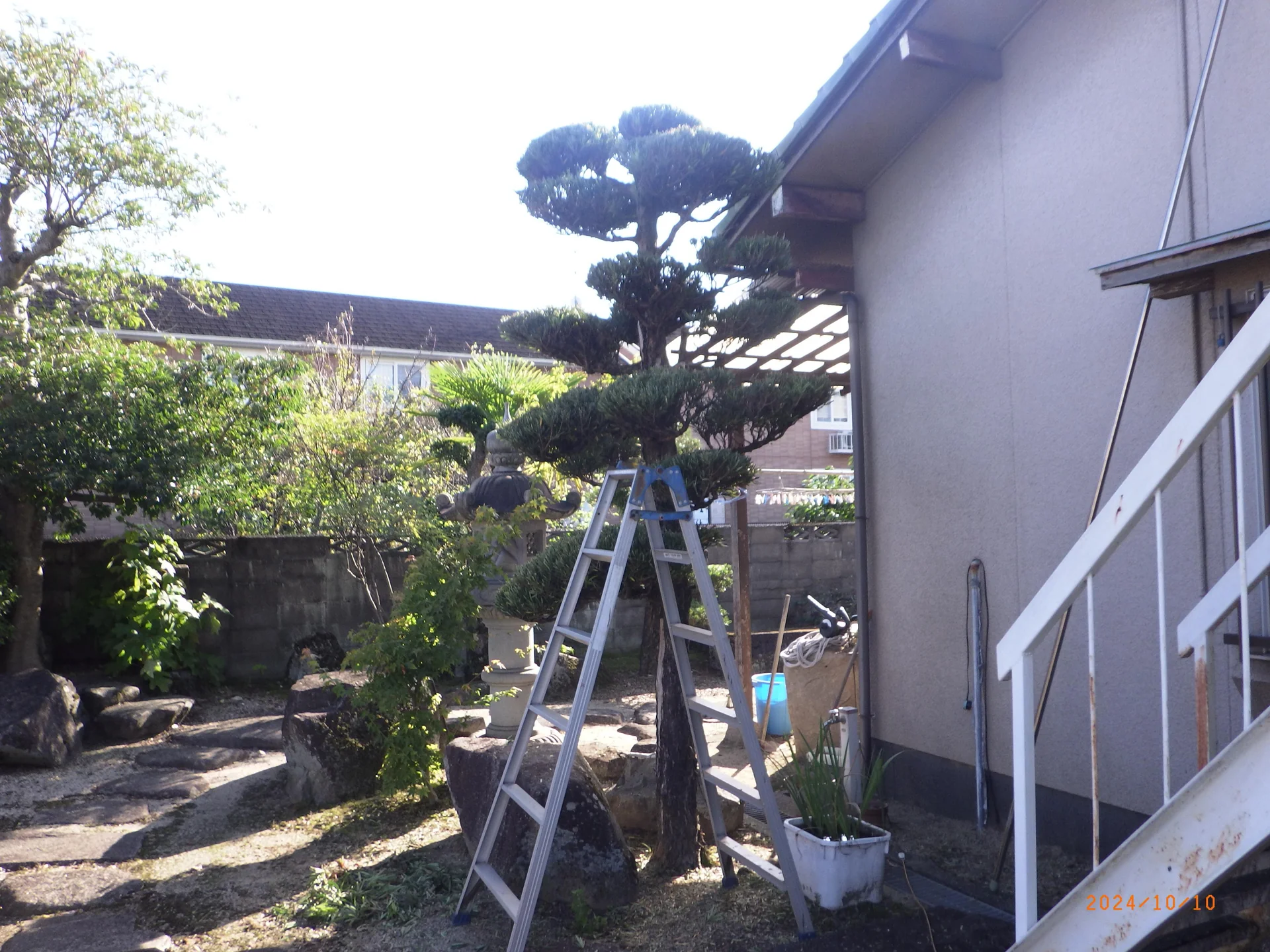 View 11