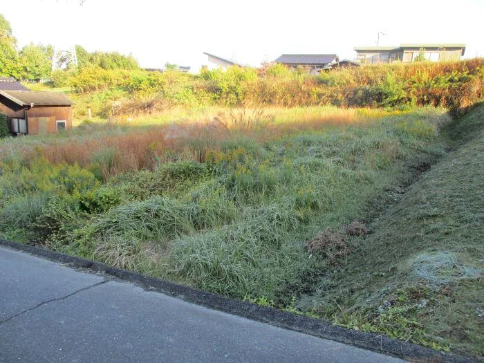 View 7