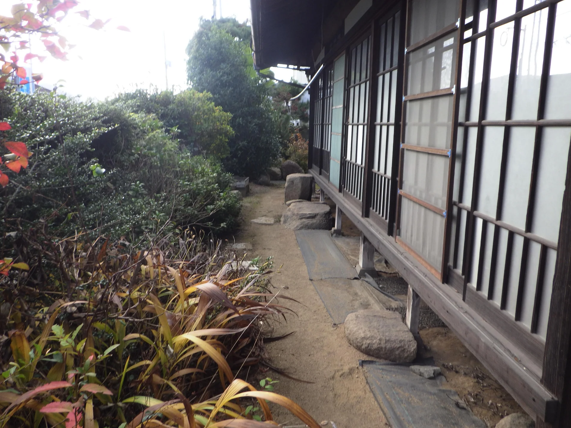 View 11