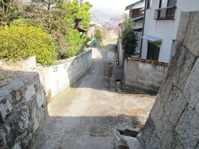 View 21