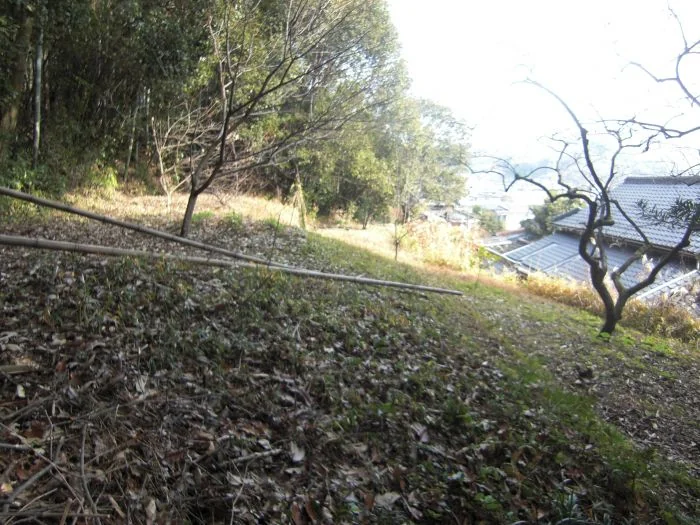 View 15