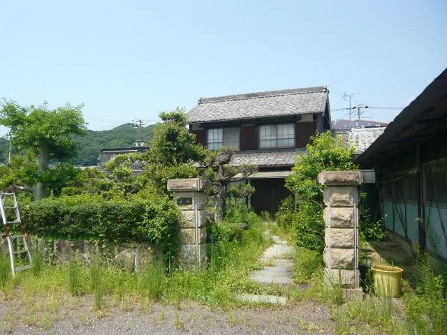 View 6