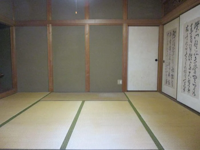 View 12