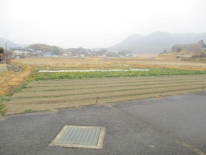 View 8