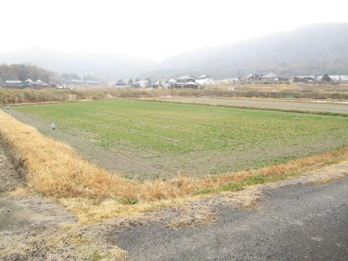 View 9