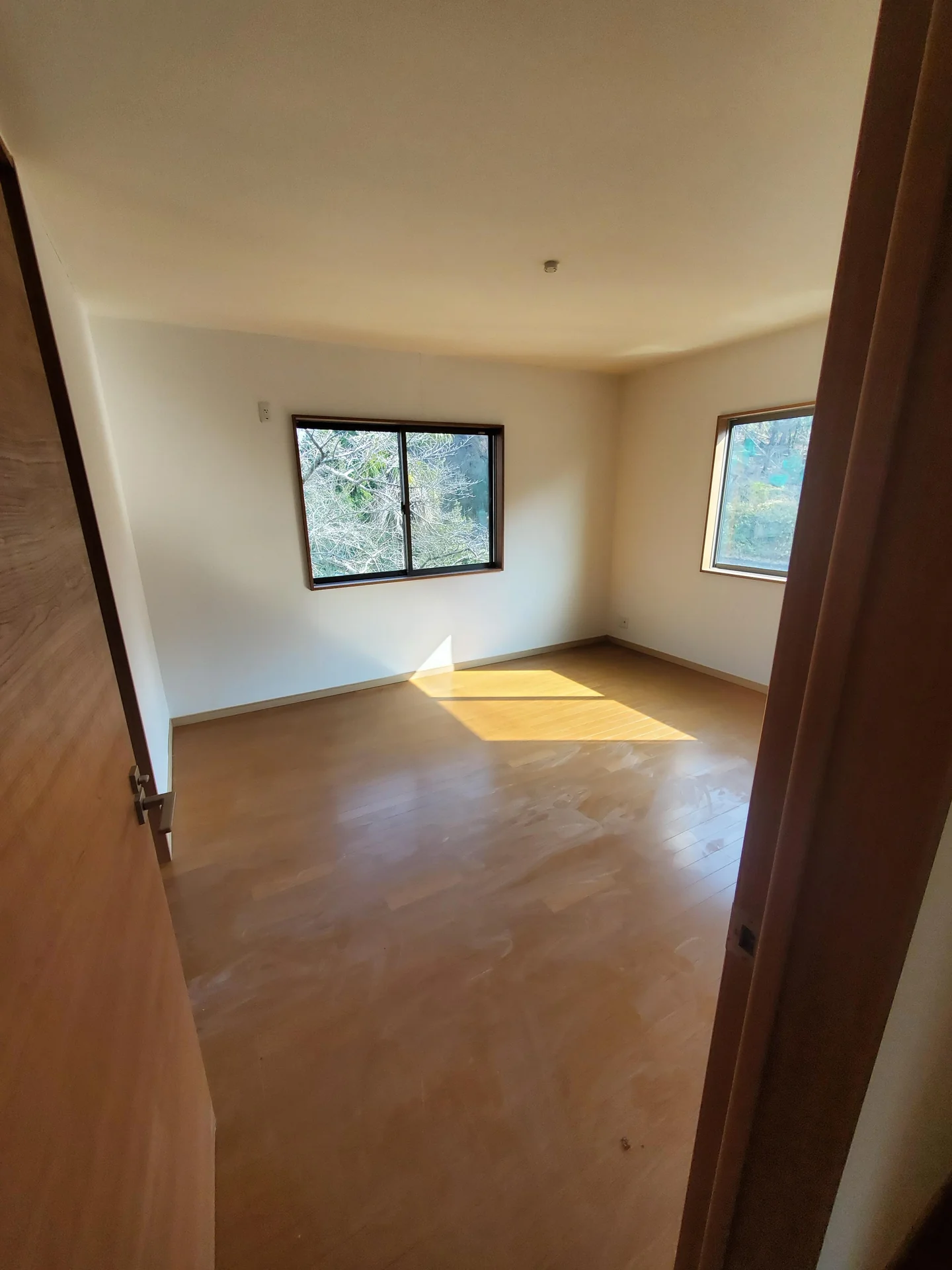 View 14