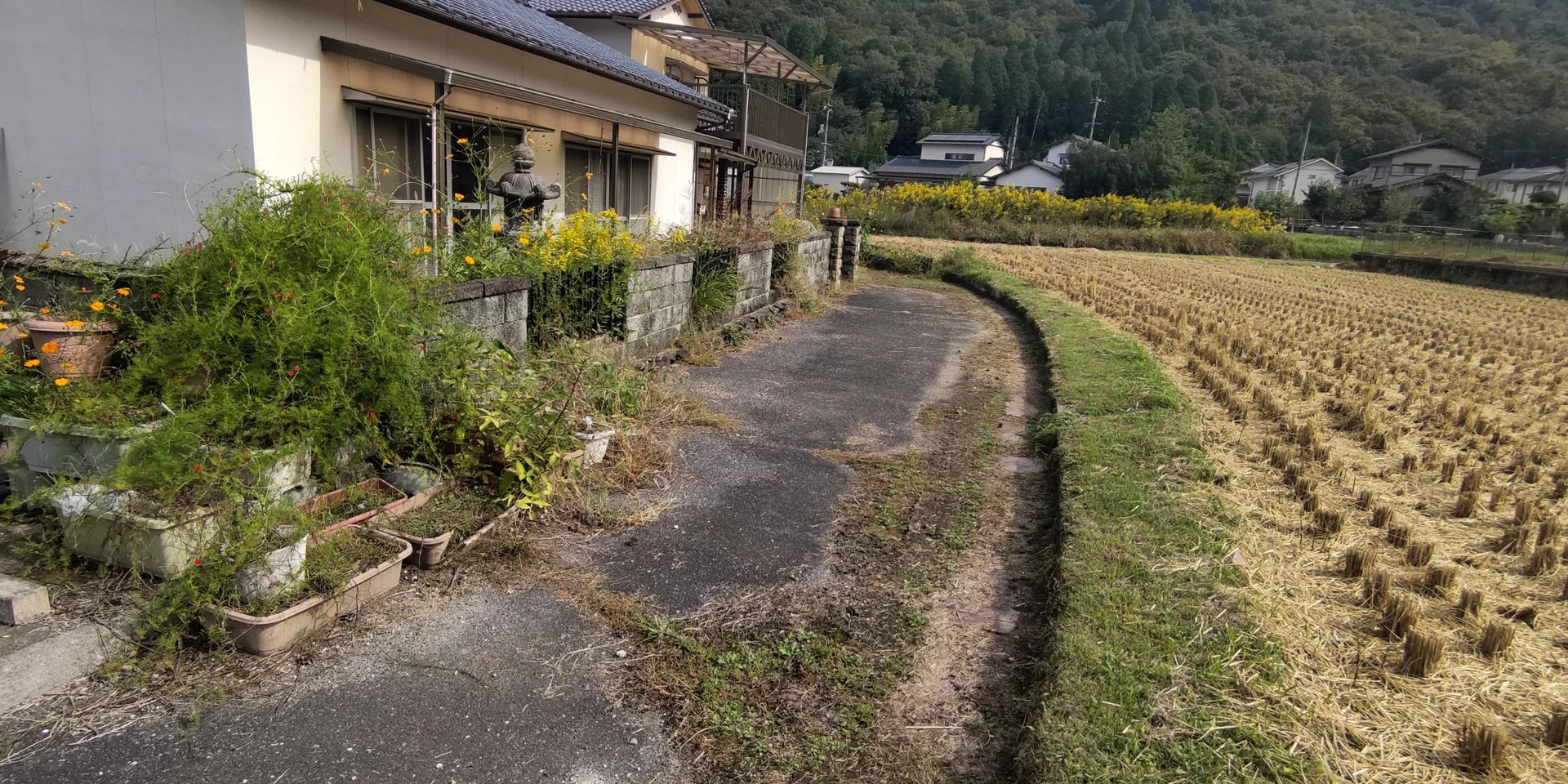 View 29