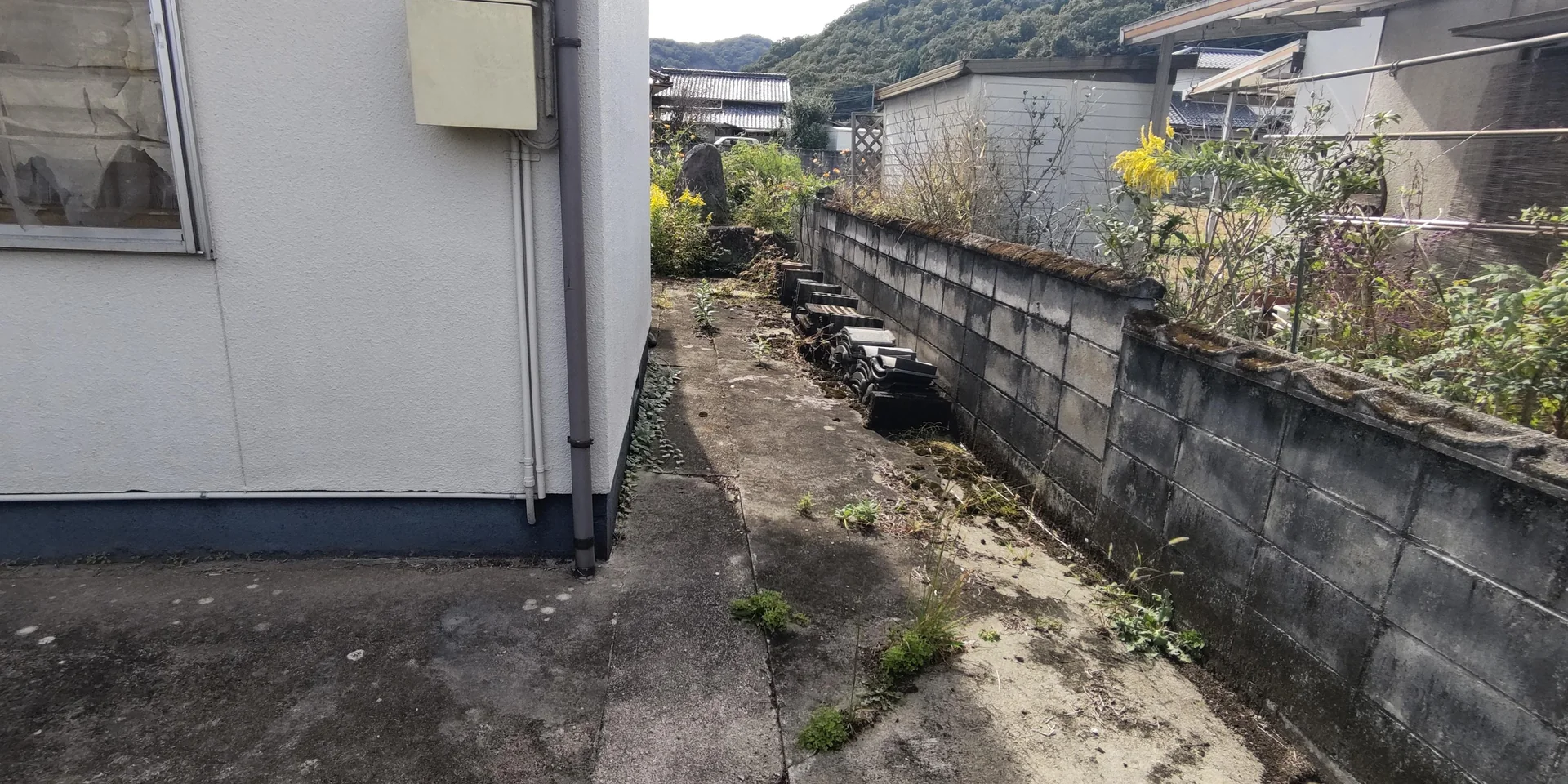 View 6