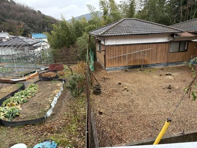 View 3