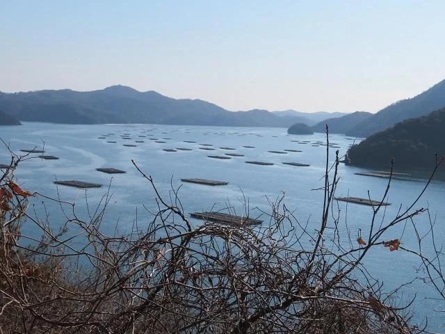 View 5