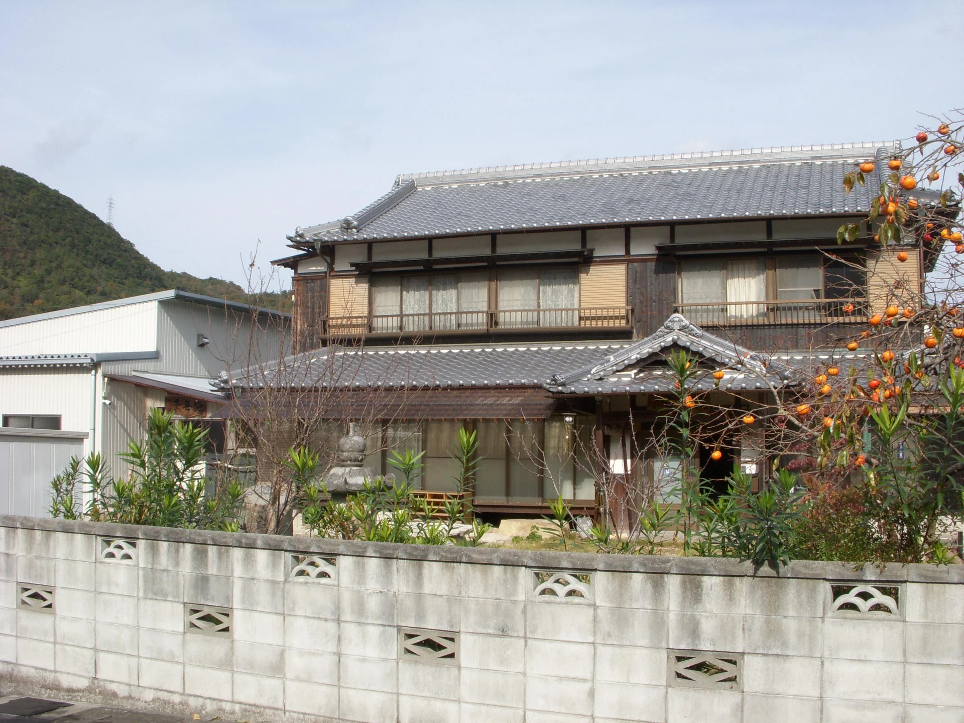 View 3