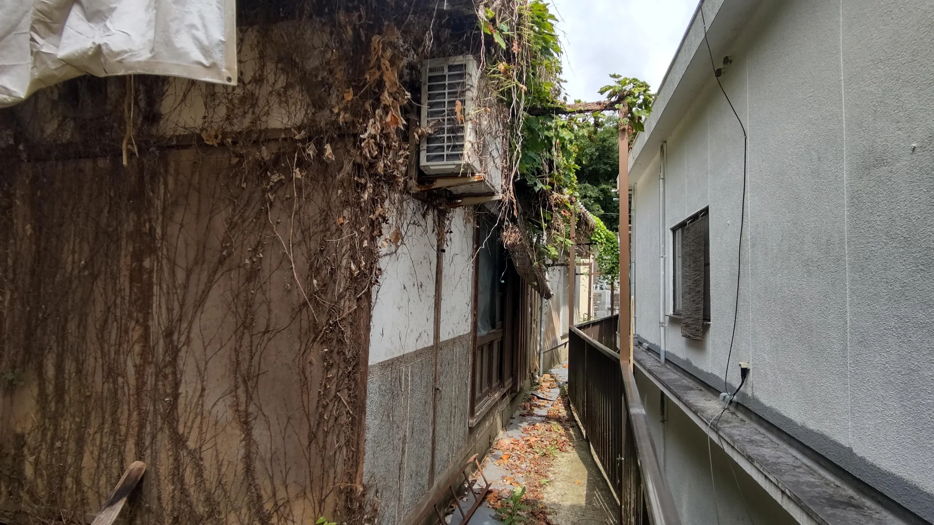 View 21