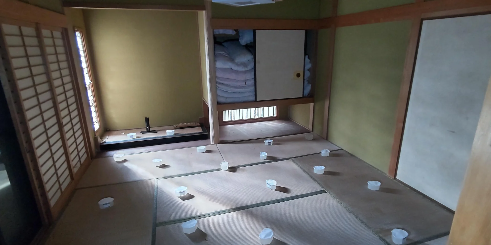 View 24
