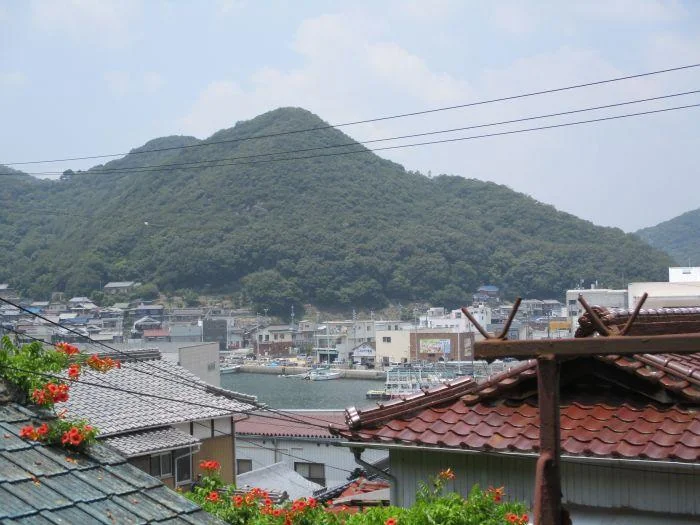 View 3