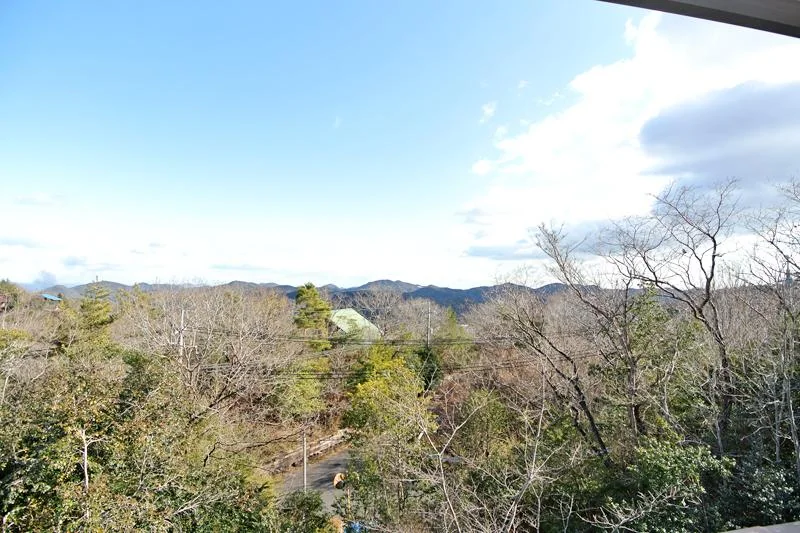 View 12