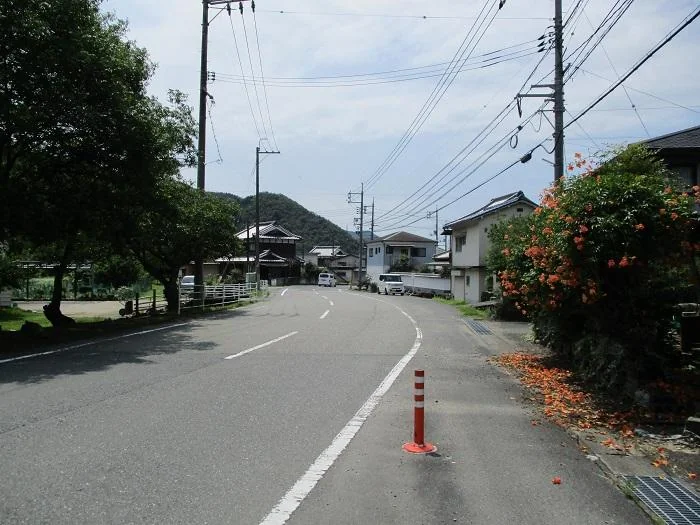 View 9